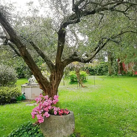 Villa Palazzetto Scodellari San Vito al Tagliamento Exterior foto